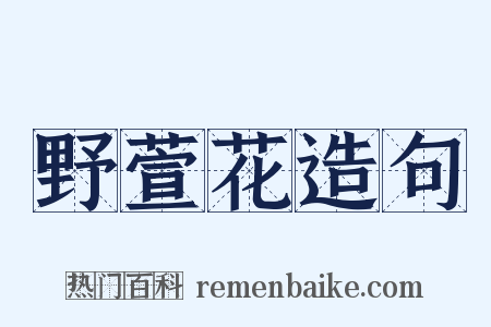 野萱花造句是什么意思的图片